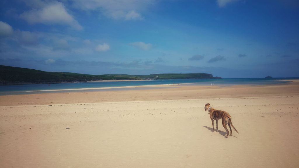 Deepest, darkest cream tea&nbsp;territory